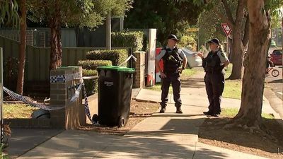 Woman confessed to murdering partner with an axe in Western Sydney home