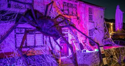 Huge spider takes over house in dad's spectacular Halloween effort