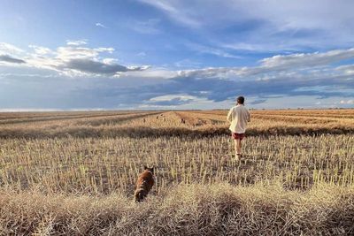 Farmers in north-west NSW race against time as wall of flood water heads their way