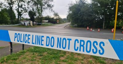 Man yielding knife detained by police