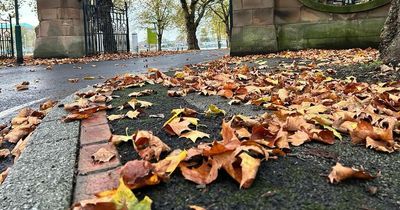 MET Office Nottingham weather warns of strong wind and rain for Nottinghamshire