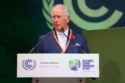 King Charles has been told not to go to Cop27 climate summit, No 10 confirms