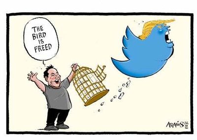 The Standard View: The bird is ‘free’ – Twitter is likely to change with it