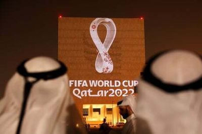 VIPs should go to World Cup, says minister