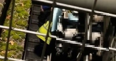 Visitors 'scream' as Alton Towers rollercoaster stopped after person 'falls ill'