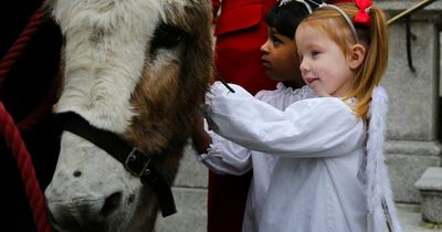 Mansion House live Christmas crib cancelled as Dublin City Council bans farm animals