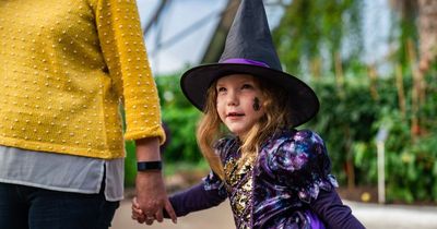 16 spooky Halloween events across the UK this weekend for the whole family