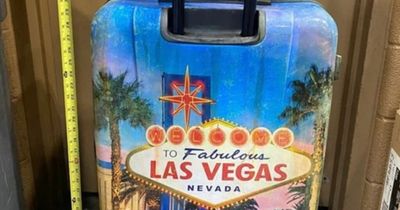 Police in hunt for mum as they identify boy's body found in Las Vegas-themed suitcase