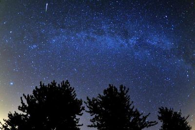 Stargazers across Scotland set for spectacular meteor shower - here's when it will peak