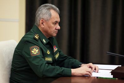 Russia's partial mobilisation is complete, Shoigu says