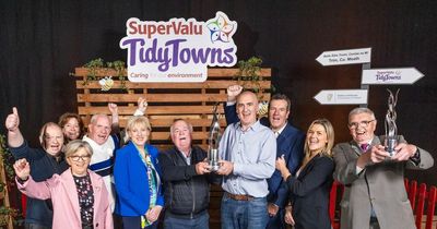 Ireland's tidy towns 2022 winner confirmed as Trim, Co Meath as it beats off hundreds of entries