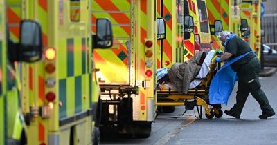 Covid 'nightmare variant' hits 18 UK cases - all you need to know about deadly XBB strain