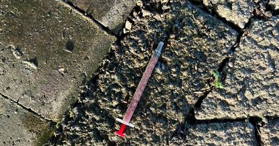 'I've cleaned up hundreds of used drug needles near a school but the problem is getting worse'