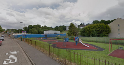 Man injured after 'rammy breaks out' following car crash near Scots playpark