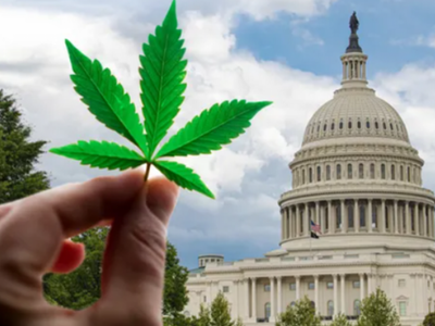 Schumer Faces Growing Pressure To Get Cannabis Banking Reform Through The Senate