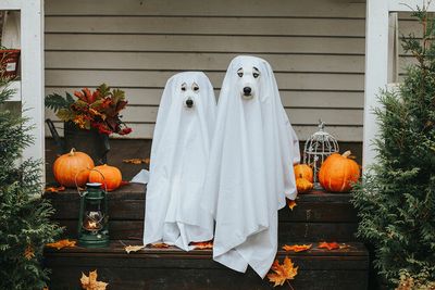 The origins of the sheet ghost costume