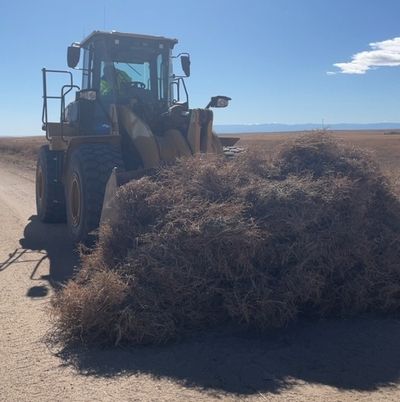 ‘Ocean Of Tumbleweeds’ Buried Homes, Yards In Colorado