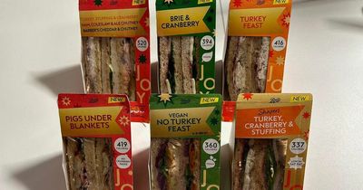 We tried Boots' entire range of Christmas sandwiches and one 'tasted just like Christmas dinner'