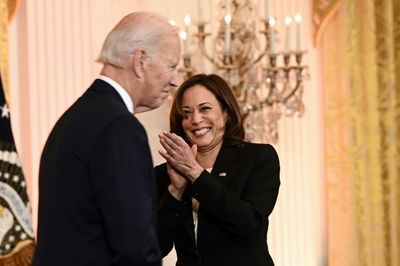 VP Harris to replace Biden at last of three Asia summits