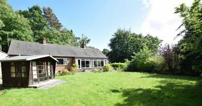 Frozen in time chalet that's 'hidden away' up a winding driveway for sale