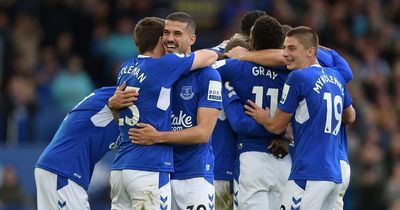 How to watch Fulham vs Everton - TV channel, live stream, early team news