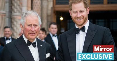 King Charles does not want to 'humiliate' Harry or Andrew by removing jobs, says expert