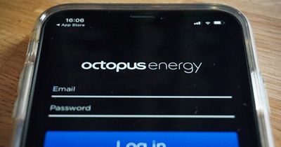 Octopus Energy set to take over collapsed rival Bulb in deal 'protecting' 1.5m customers