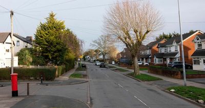 Police ask parents to 'know where your children are' after 'numerous' incidents