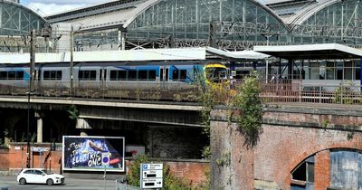 BREAKING: Major disruption to trains running between Manchester and Sheffield due to fallen tree