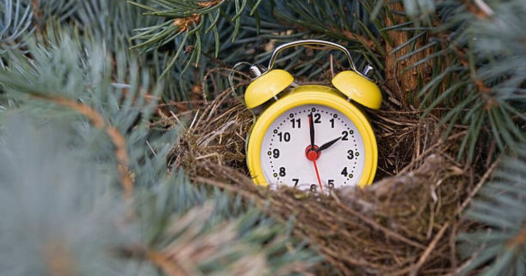 When do the clocks go back 2022? Why the time changes…
