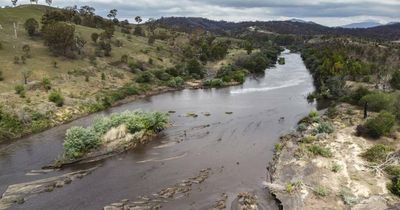 Swimming banned as bacteria flows into Murrumbidgee