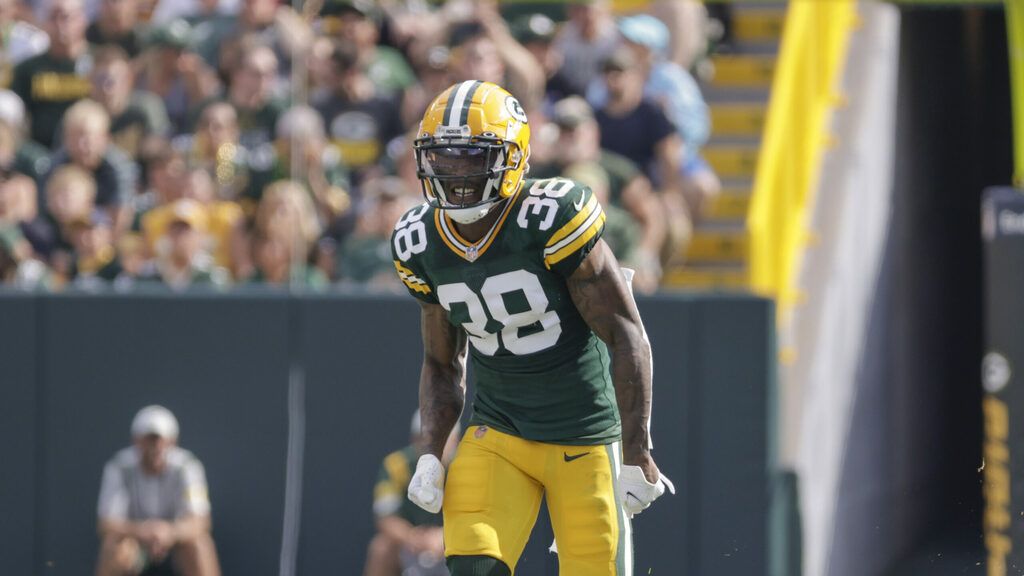 Packers elevate OLB La'Darius Hamilton, WR Juwann Winfree to