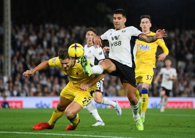 Fulham unable to make most of chances as Everton claim point at Craven Cottage