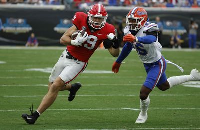 Brock Bowers with spectacular touchdown reception for Georgia