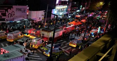 South Korea disaster latest: At least 146 dead after Halloween crowd surge in Seoul