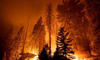 Cop27 climate summit: window for avoiding catastrophe is closing fast