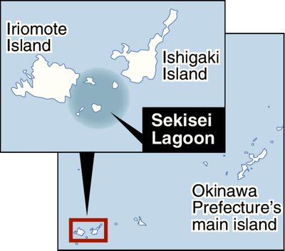 Bleaching hits over 90% of Japan's largest coral reef