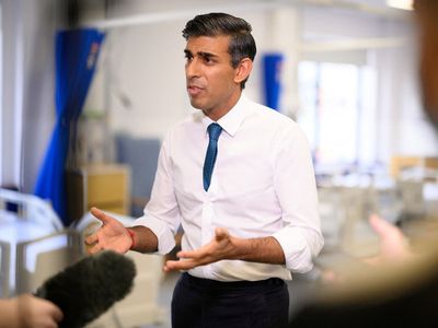 Rishi Sunak bounce cuts Labour’s lead to 16 points, new poll shows OLD