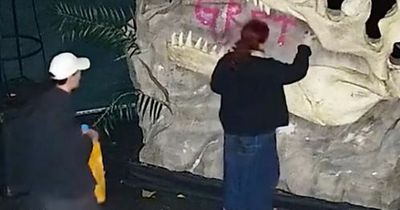 GlasGLOW share CCTV footage of eco-activist vandals spraying obscene graffiti on light display