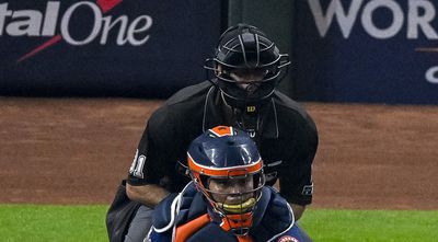 Umpire Pat Hoberg made history with a perfect game in the World Series and MLB fans were in awe