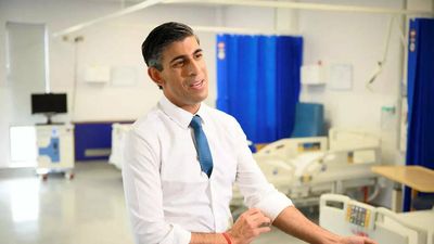 Rishi Sunak shouldn’t skip climate meet: Alok Sharma