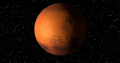 Discovery of a sea on Mars raises chances life could be discovered on the red planet