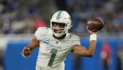 Dolphins rally to 31-27 win over Lions