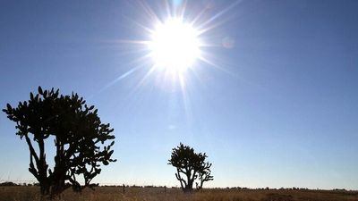 Julia Creek endures hottest October day on record as outback Queensland swelters