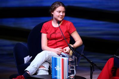 Greta Thunberg: COP27 an opportunity for "greenwashing, lying and cheating"