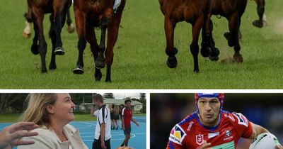 Paul Scott: Why these Hunter runners are odds-on for a headline