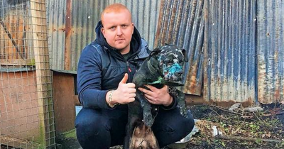 Convicted animal abuser exposed as key player in Scotland's sick dog fighting cult