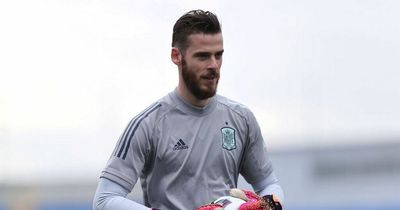 David De Gea and Erik ten Hag respond to Luis Enrique's ruthless 55-man Spain squad axe