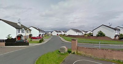 Dog shot dead in feud crossfire as innocent man hit in mistaken ID gun attack in Dundalk