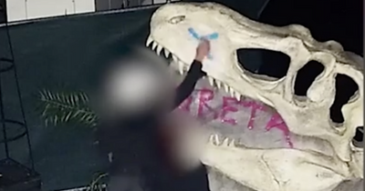 GlasGLOW 'trolls' caught on CCTV plastering obscene graffiti at light show